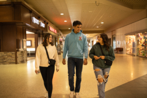 Shopping at the Sunset Plaza