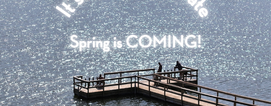 Skyview Lake image promoting spring